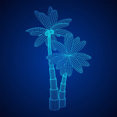 Yapraklı hindistan cevizi palmiyesi. Kablo çerçevesi düşük poli ağ vektör çizimi.