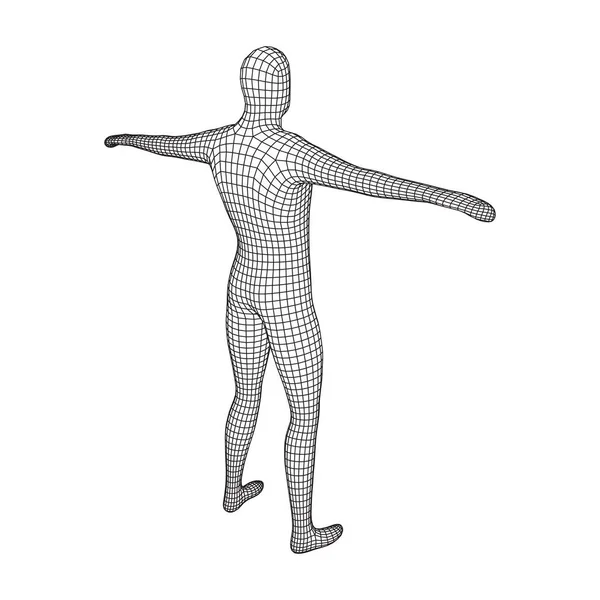 Anatomie Masculine Humaine Biologie Corps Concept Éducation Médecine Illustration Vectorielle — Image vectorielle