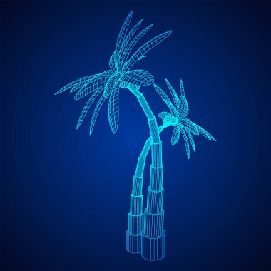 Yapraklı hindistan cevizi palmiyesi. Kablo çerçevesi düşük poli ağ vektör çizimi.