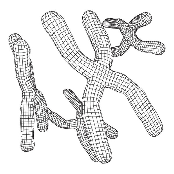 Концепция образования в области хромосомной медицины. Вифрамовая векторная иллюстрация с низким содержанием полисетки