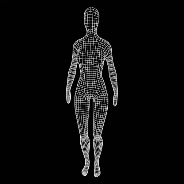Anatomie Féminine Féminine Biologie Corps Concept Éducation Médecine Illustration Vectorielle — Image vectorielle