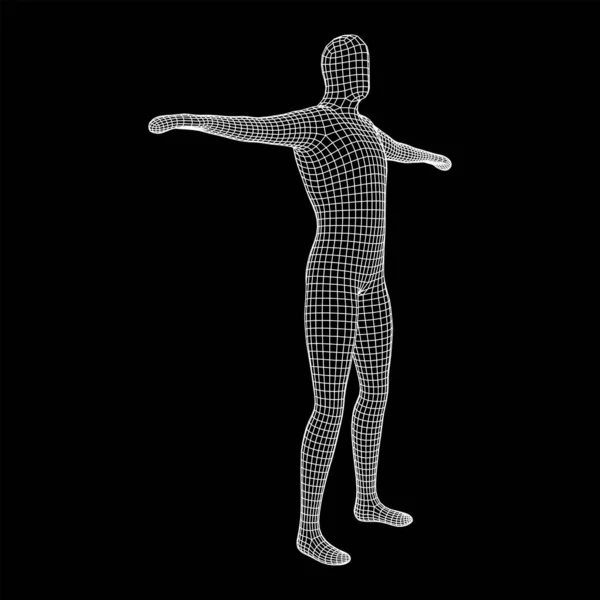Mužská Nebo Lidská Anatomie Vzdělávací Koncepce Tělesné Biologie Obrázek Vektoru — Stockový vektor