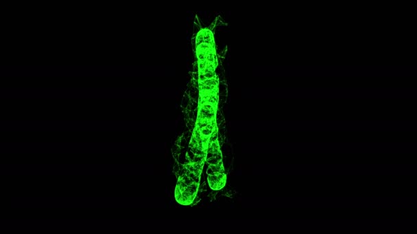 Kromosom Vetenskaplig Medicin Utbildning Koncept Wireframe Låg Poly Mesh Cyberspace — Stockvideo