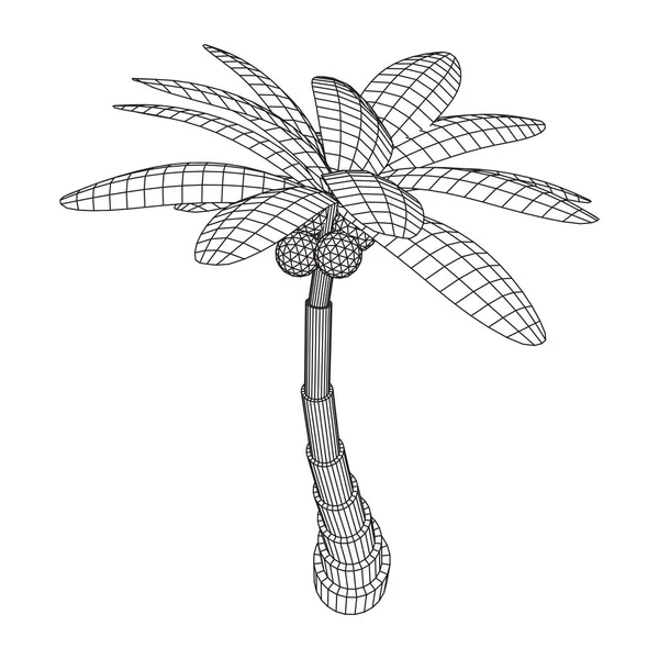 Kokospalmträd Med Blad Wireframe Låg Poly Mesh Vektor Illustration — Stock vektor