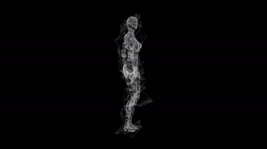 Üç boyutlu kadın ya da kadın anatomisi. Vücut biyolojisi tıp eğitimi konsepti. 4K FullHD ve HD videolarında mevcut olan kablo çerçevesi düşük poliçe ağ ağ ağ bilimi ve teknolojisi
