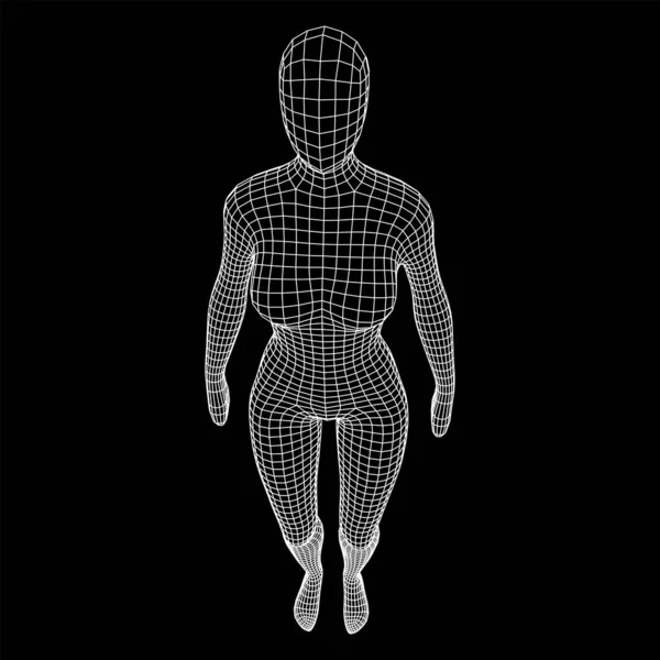 Anatomia Feminina Feminina Conceito Educação Biologia Corporal Wireframe Baixo Poli — Vetor de Stock