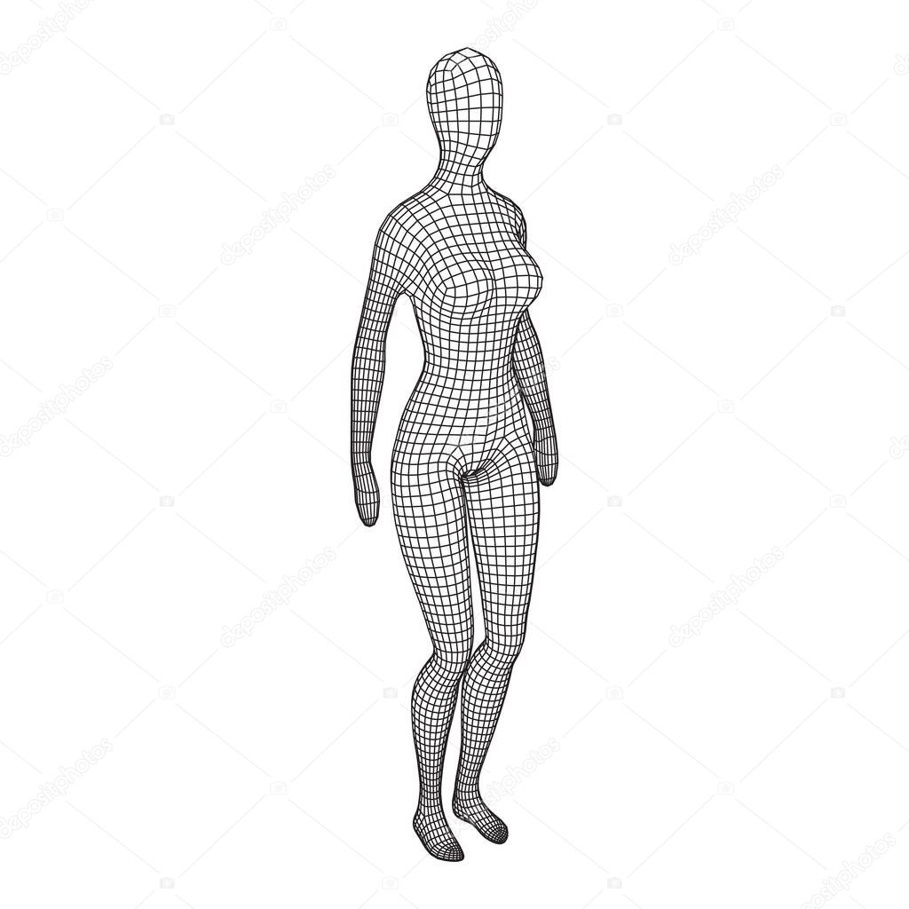 Female or woman anatomy. Body biology medicine education concept. Wireframe low poly mesh vector illustration.