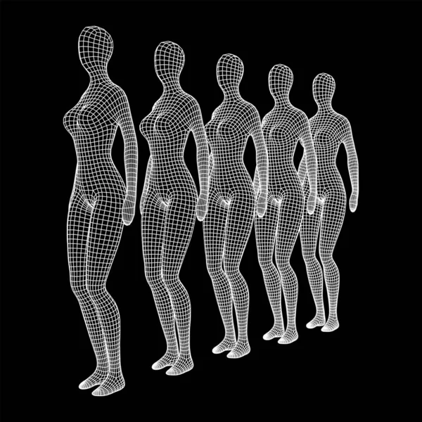 Frauen Oder Männer Stehen Schlange Körperbiologie Medizin Ausbildungskonzept Illustration Eines — Stockvektor