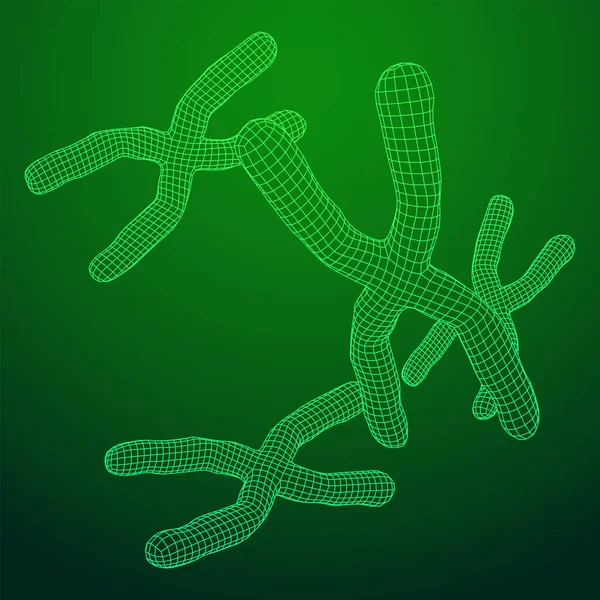 Chromosoom Wetenschappelijk Geneeskunde Onderwijs Concept Wireframe Laag Poly Mesh Vector — Stockvector