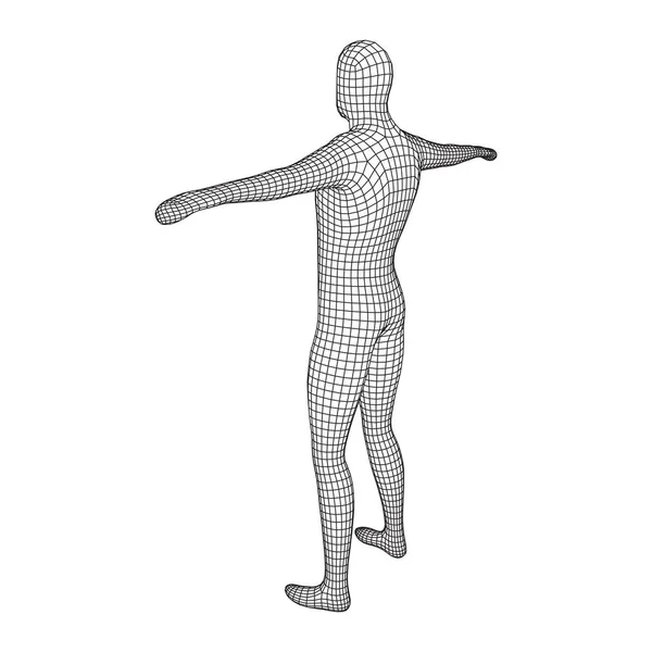 Anatomia Masculina Masculina Conceito Educação Biologia Corporal Wireframe Baixo Poli — Vetor de Stock