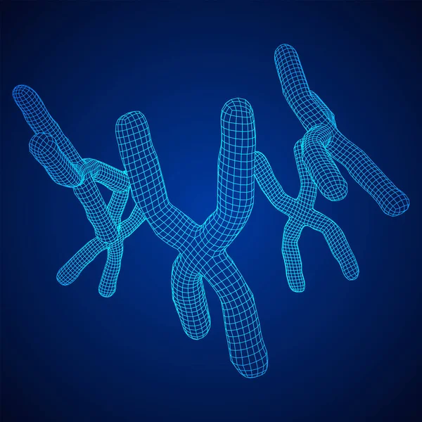 Koncepcja Edukacji Dziedzinie Medycyny Chromosomowej Ilustracja Wektora Sieci Niskim Przekątnej — Wektor stockowy