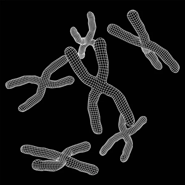 Kromozom Bilimsel Tıp Eğitim Konsepti Kablo Çerçevesi Düşük Poli Vektör — Stok Vektör