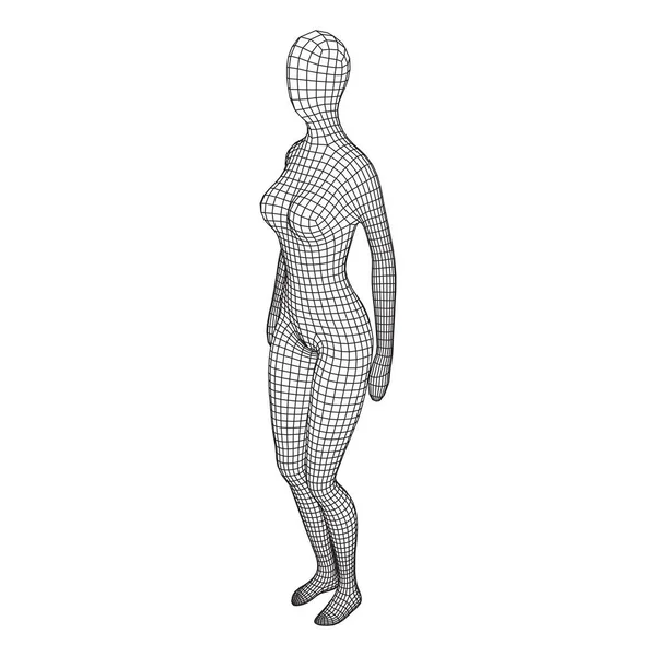 Anatomia Feminina Feminina Conceito Educação Biologia Corporal Wireframe Baixo Poli —  Vetores de Stock