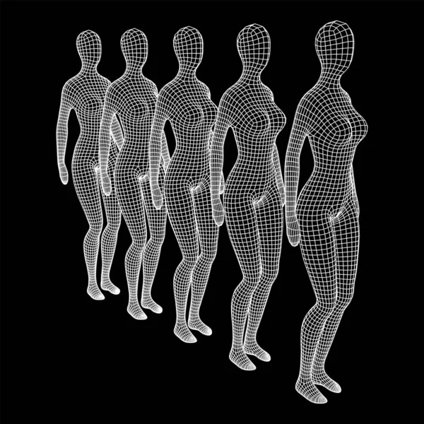 Female Woman Queue Body Biology Medicine Education Concept Wireframe Low — Stock Vector