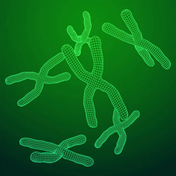 Concepto Educación Medicina Científica Cromosómica Ilustración Vectores Malla Polivinílica Baja — Vector de stock
