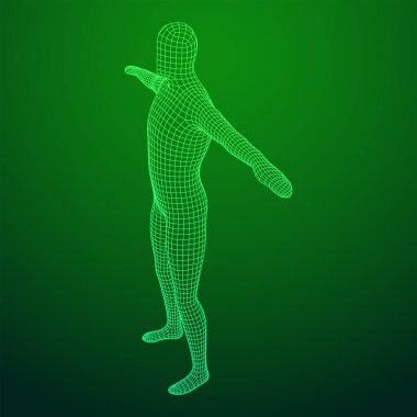 Erkek ya da erkek anatomisi. Vücut biyolojisi tıp eğitimi konsepti. Kablo çerçevesi düşük poli ağ vektör çizimi