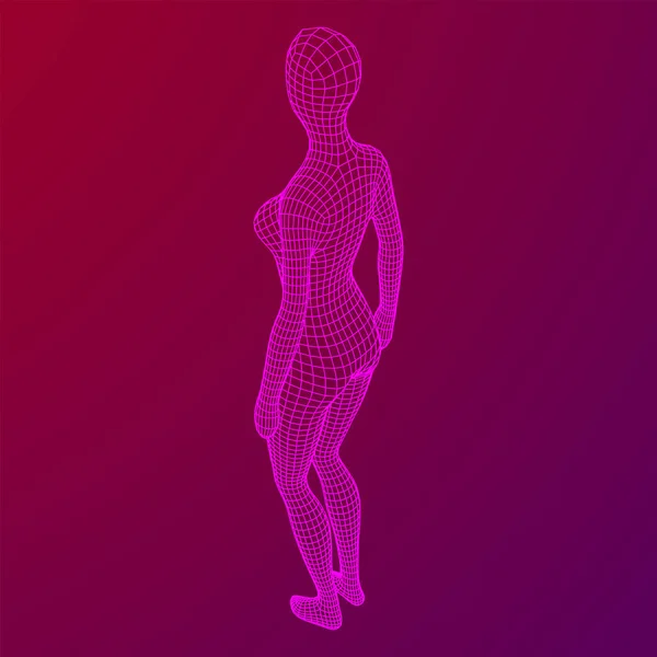 女性或女性解剖学 身体生物医药教育的概念 线框低网目矢量图解 — 图库矢量图片