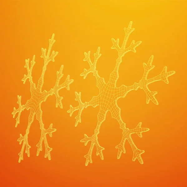 Snowflake Wireframe low poly 메시 — 스톡 벡터