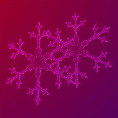 Kar Tanesi Kablo Çerçevesi düşük poli ağ