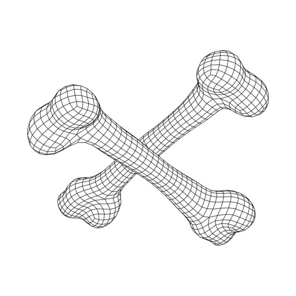 Anatomy Dog Bone object. Wireframe low poly mesh — Stock Vector