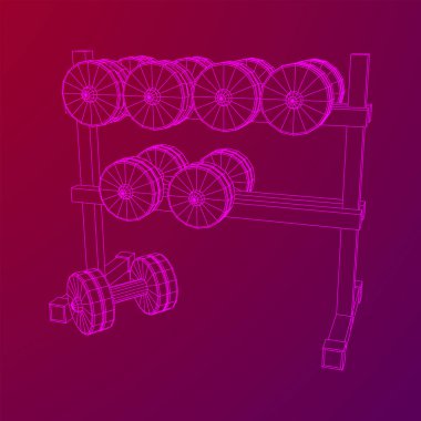 Dambılların spor aletleri. Vücut geliştirme, ağırlık kaldırma, fitness konsepti