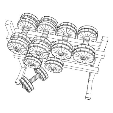 Dambılların spor aletleri. Vücut geliştirme, ağırlık kaldırma, fitness konsepti
