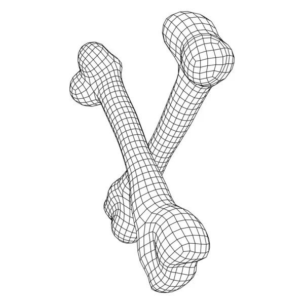 Anatomy Dog Bone object. Wireframe low poly mesh — Stock Vector