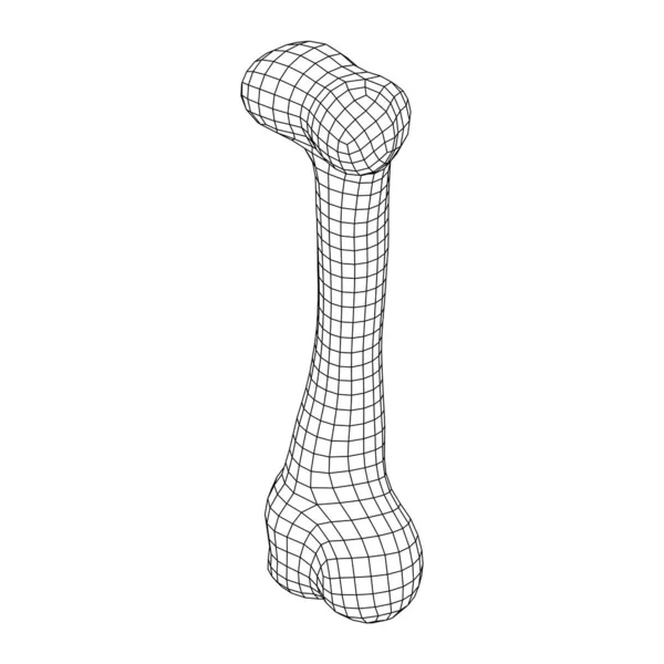 Objeto do osso do cão da anatomia. Wireframe baixa malha poli — Vetor de Stock