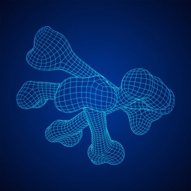 Anatomi Köpek Kemiği nesnesi. Kablo çerçevesi düşük poli ağ