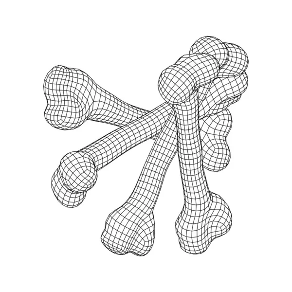 Anatomía Objeto Hueso de Perro. Malla de polietileno baja Wireframe — Archivo Imágenes Vectoriales