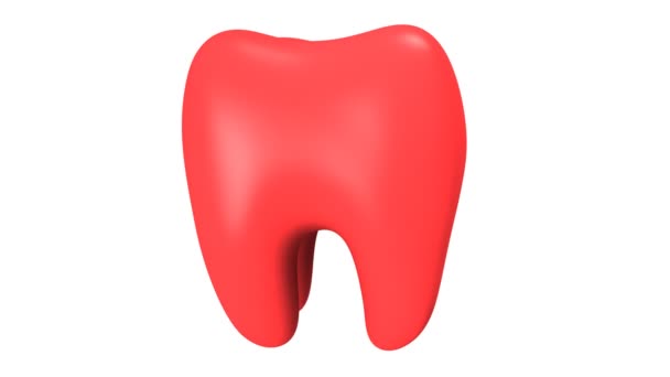 Animación de la rotación dental — Vídeo de stock