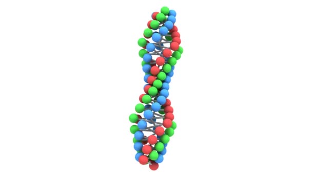 DNA zinciri. 3D. — Stok video