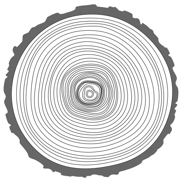 Trädringar. — Stock vektor