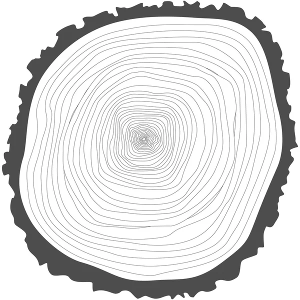 Anneaux d'arbre. — Image vectorielle