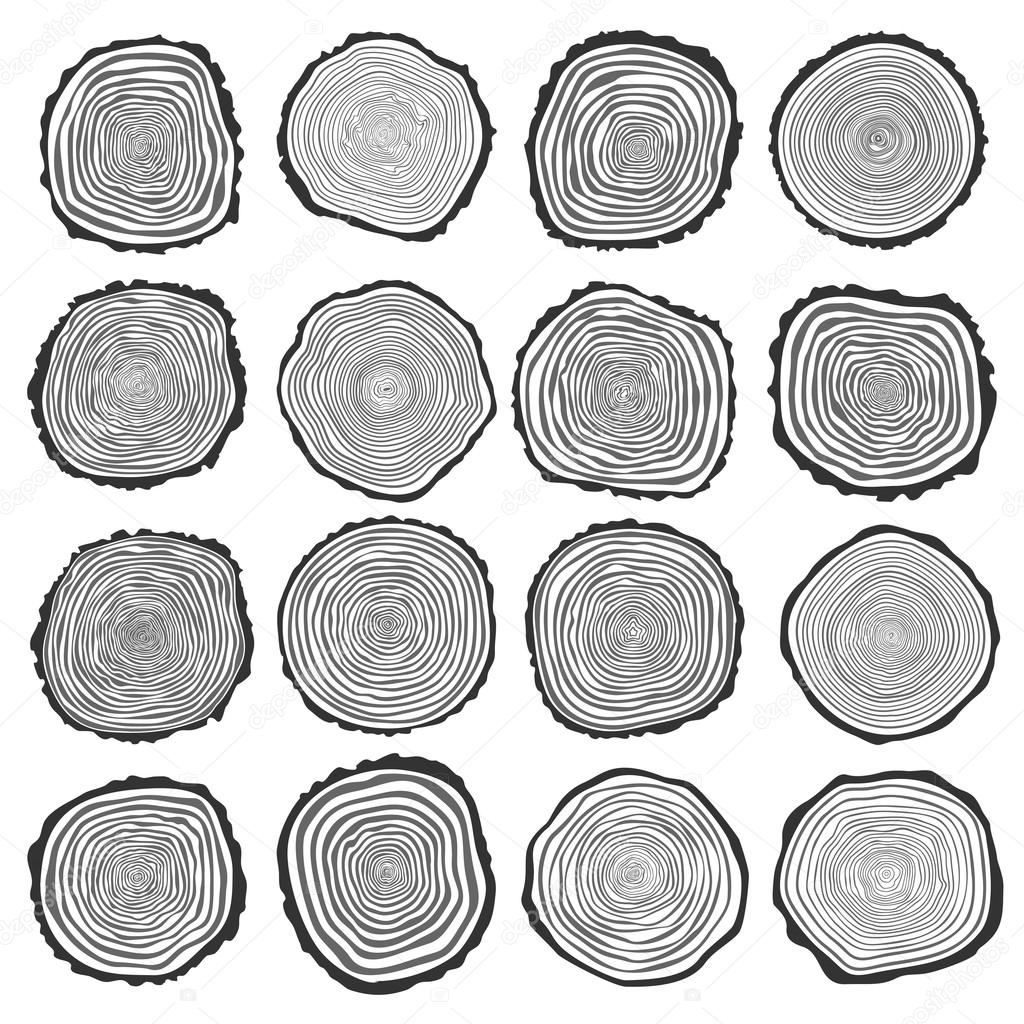 Collection of vector tree rings background