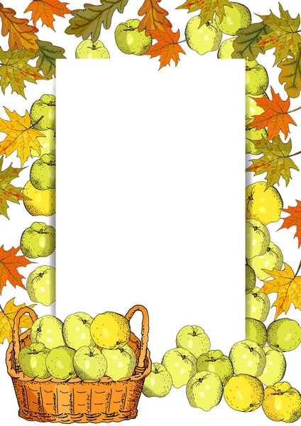 Gabarit Vertical Avec Pommes Panier Récolte Feuilles Illustration Alimentaire Dessinée — Image vectorielle