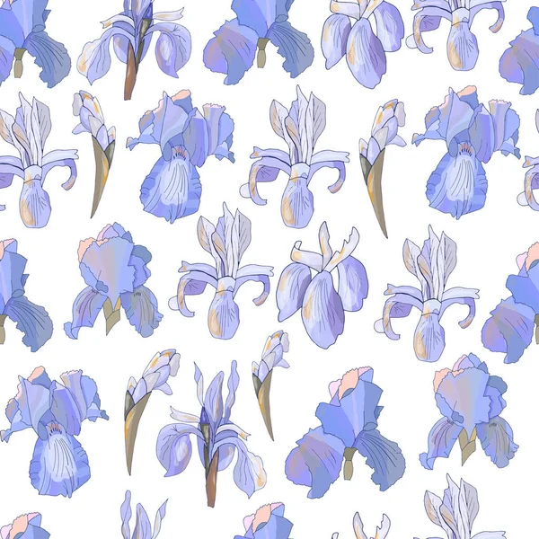 Романтичний Квітковий Безшовний Візерунок Фіолетовими Ірисами — стоковий вектор