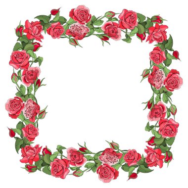 Beyaz arkaplanda gül ve yapraklı şablon.