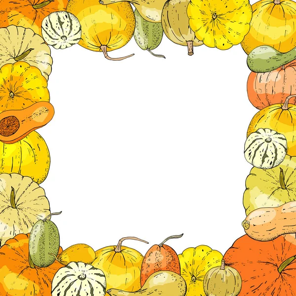 Carte Automnale Pour Thanksgiving Design Saisonnier Avec Citrouilles — Image vectorielle