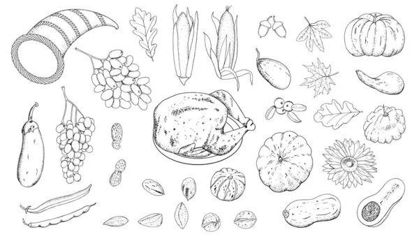 Ensemble Vectoriel Pour Thanksgiving Contour Dessiné Main Isolat Forme Sur — Image vectorielle