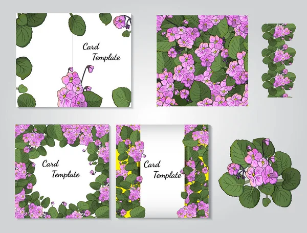 Conjunto Vetorial Violetas Africanas Floridas Com Flores Cores Diferentes Isoladas — Vetor de Stock