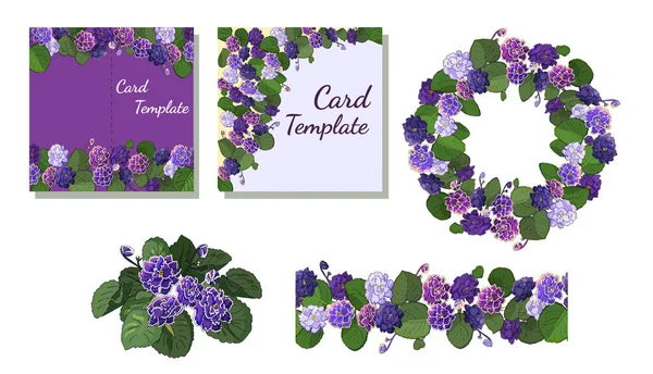 Vector Set Flowering African Violets — Stock Vector