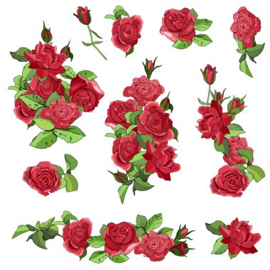 Çiçeksiz sınır beyaz arka planda izole edilmiş. Güllerin el çizimi.