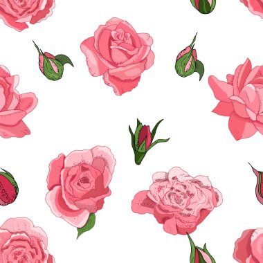 Çiçekler beyaz arka planda izole edilmiş. Güllerin vektör eliyle çizilmiş hali. Tekstil, duvar kağıdı, kumaş, hediye kutuları, tebrik kartı ve davetiyeler için.