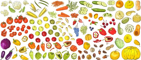 不同的新鲜蔬菜的向量集 手绘元素 您的设计 明信片 餐厅菜单 纺织品 — 图库矢量图片