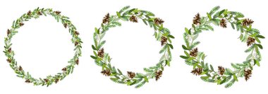 Ökseotu, ladin konisi, ladin dalları, poinsettia, Holly, beyaz üzerine izole edilmiş karamel kamışı....