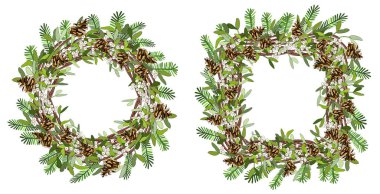 Ökseotuyla, ladin konisiyle, beyaz üzerine izole edilmiş ladin dallarıyla kusursuz noel sınırı..