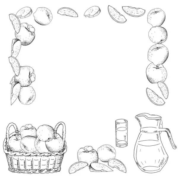 Gabarit Carré Avec Pommes Tranches Pommes Illustration Alimentaire Dessinée Main — Image vectorielle