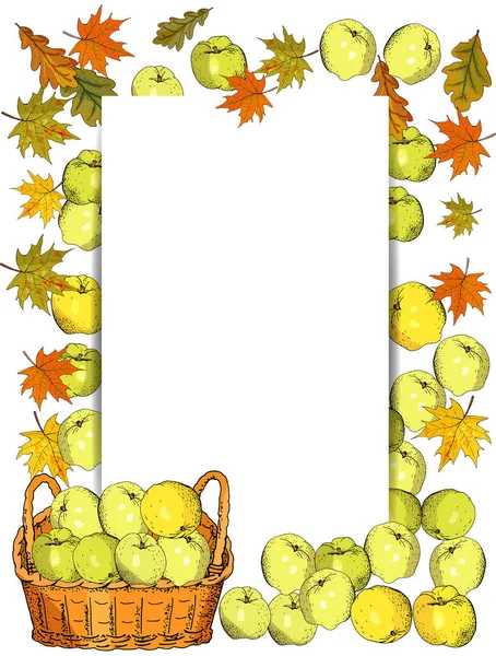 Plantilla Cuadrada Con Manzanas Rodajas Manzana Ilustración Alimentos Dibujados Mano — Vector de stock