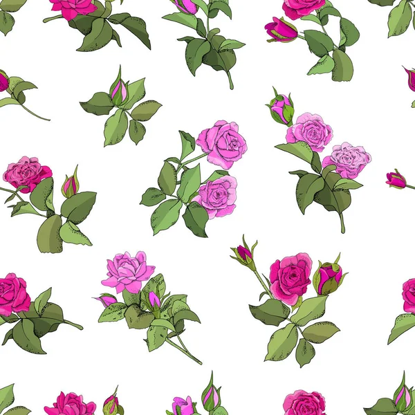 Flores Sem Costura Padrão Vector Mão Desenhada Ilustração Rosas Para — Vetor de Stock